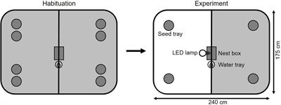 Welcome to the Dark Side: Partial Nighttime Illumination Affects Night-and Daytime Foraging Behavior of a Small Mammal